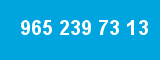 965 239 73 13 965 239 73 13